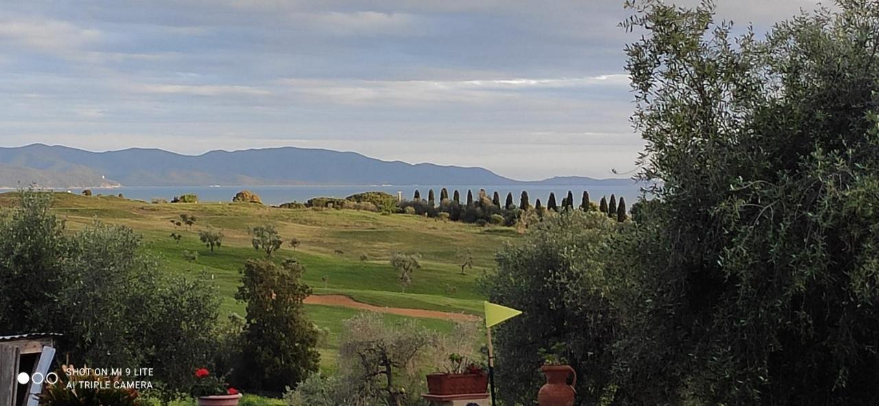 Agriturismo Poggio All'Olivo Follonica Exterior photo